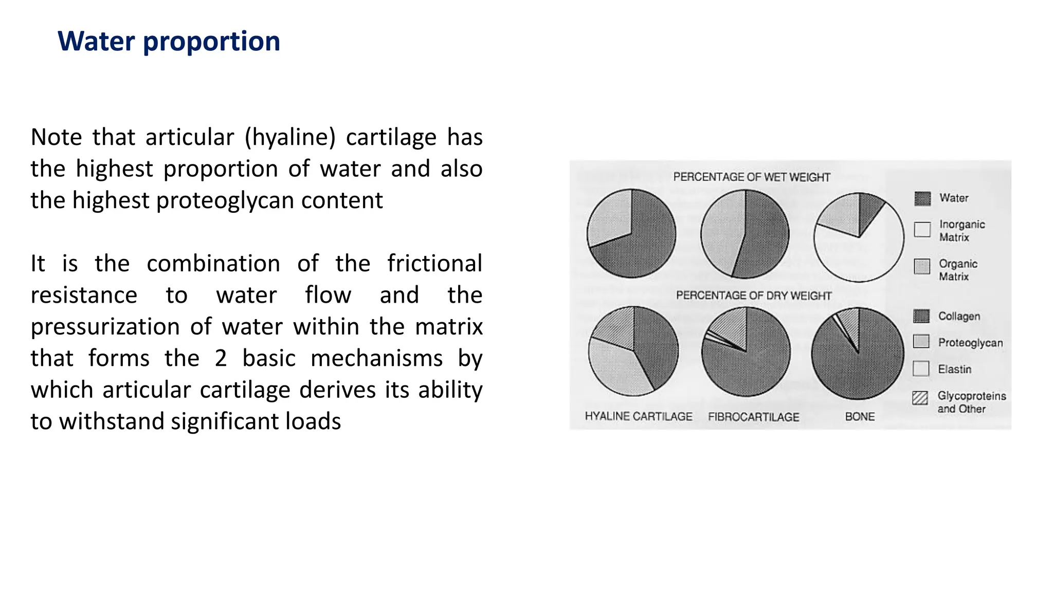 Note that articular (hyaline) cartilage has
the highest proportion of water and also
the highest proteoglycan content
It is the combination of the frictional
resistance to water flow and the
pressurization of water within the matrix
that forms the 2 basic mechanisms by
which articular cartilage derives its ability
to withstand significant loads
Water proportion
 