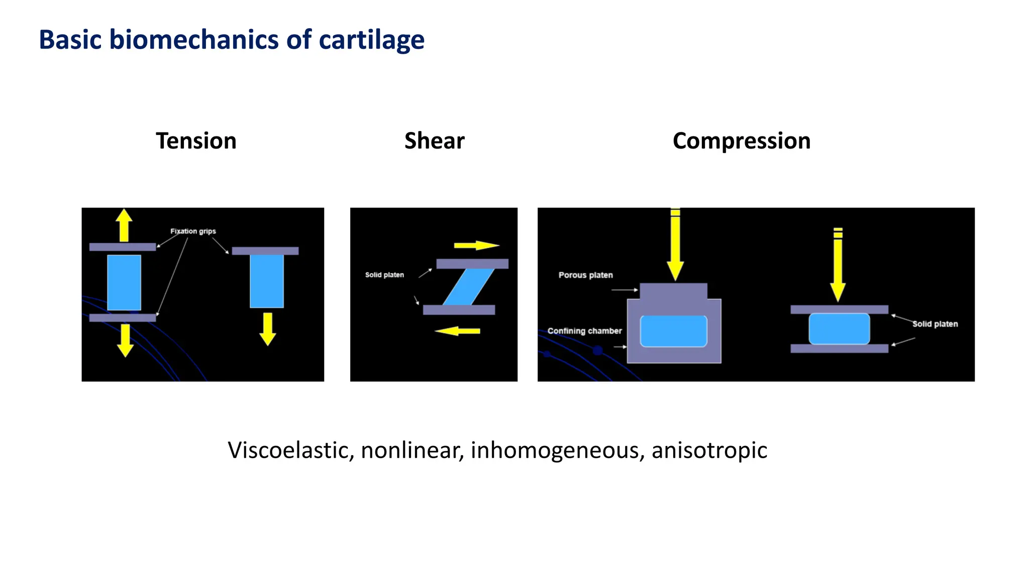Basic biomechanics of cartilage
Viscoelastic, nonlinear, inhomogeneous, anisotropic
Tension Shear Compression
 