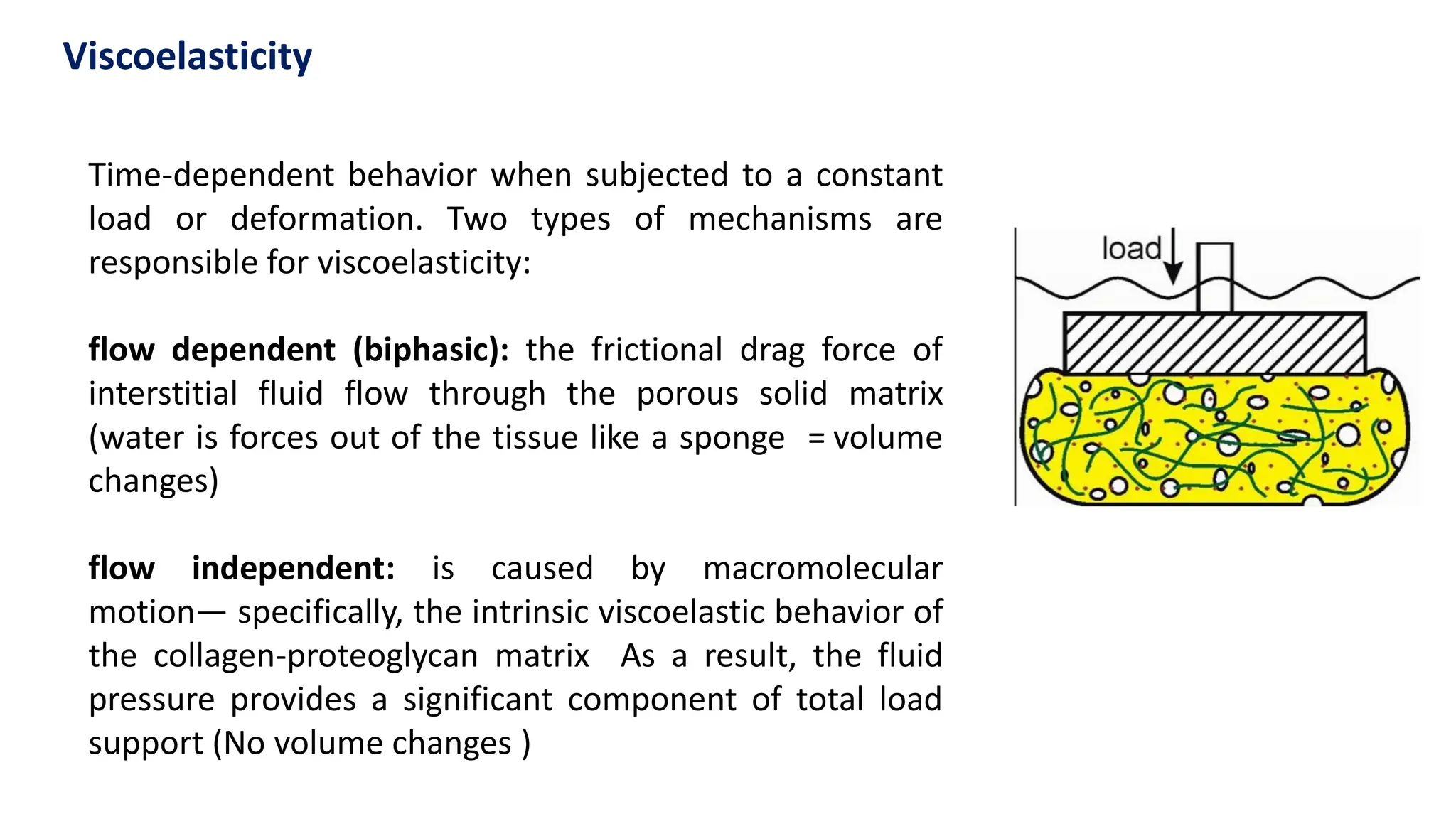 Time-dependent behavior when subjected to a constant
load or deformation. Two types of mechanisms are
responsible for viscoelasticity:
flow dependent (biphasic): the frictional drag force of
interstitial fluid flow through the porous solid matrix
(water is forces out of the tissue like a sponge = volume
changes)
flow independent: is caused by macromolecular
motion— specifically, the intrinsic viscoelastic behavior of
the collagen-proteoglycan matrix As a result, the fluid
pressure provides a significant component of total load
support (No volume changes )
Viscoelasticity
 