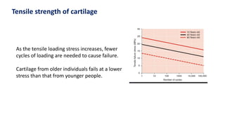 Structure & biomechns of articular cartilage | PDF