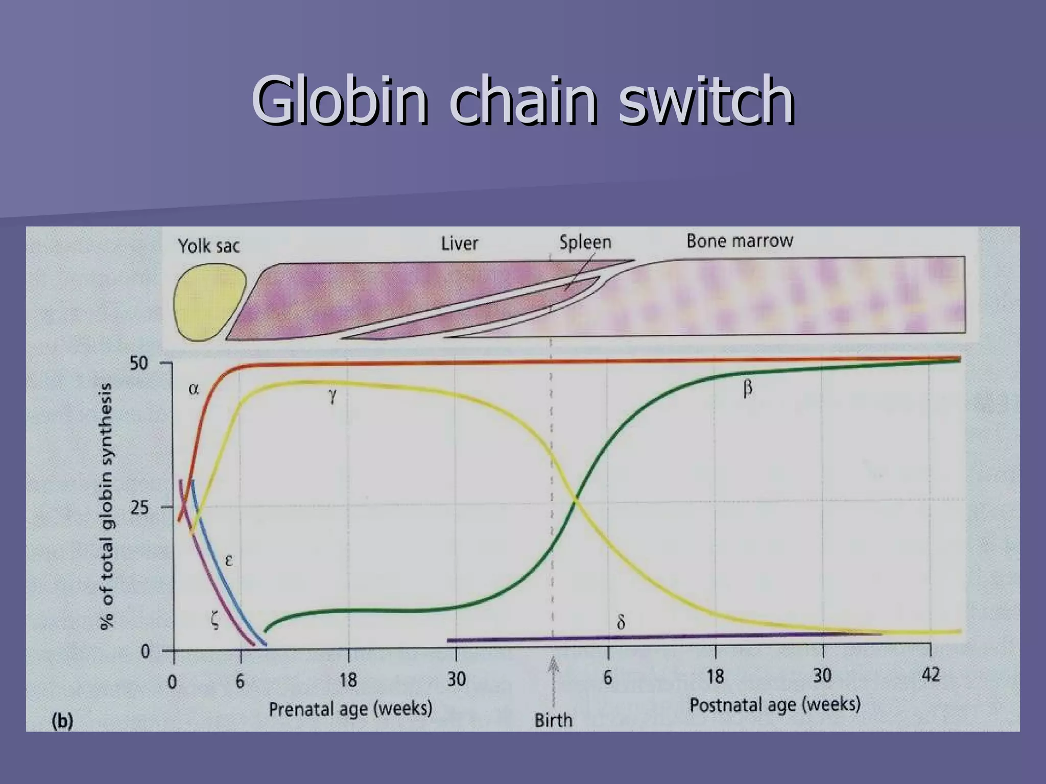 Globin chain switch 