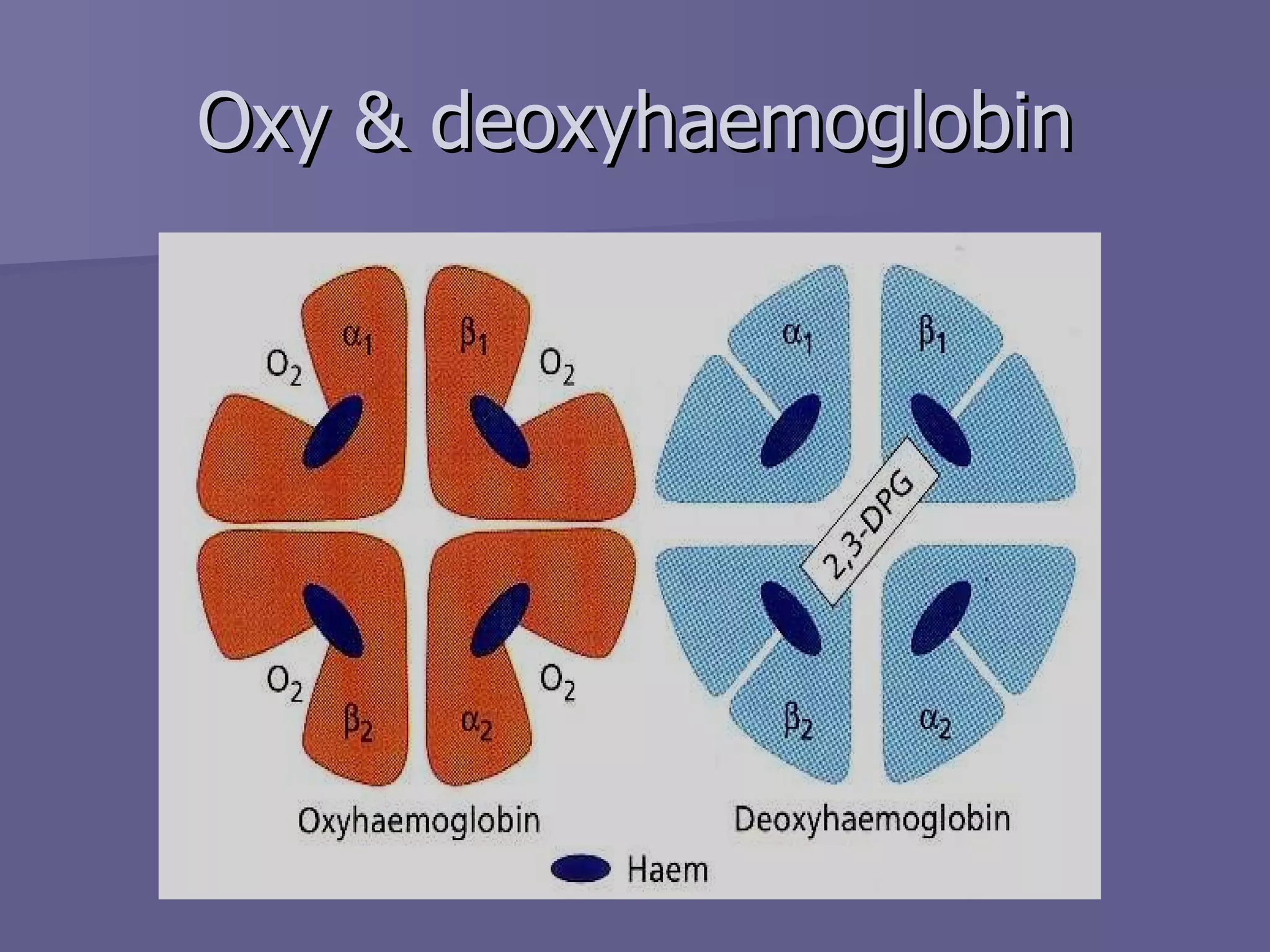 Oxy & deoxyhaemoglobin 