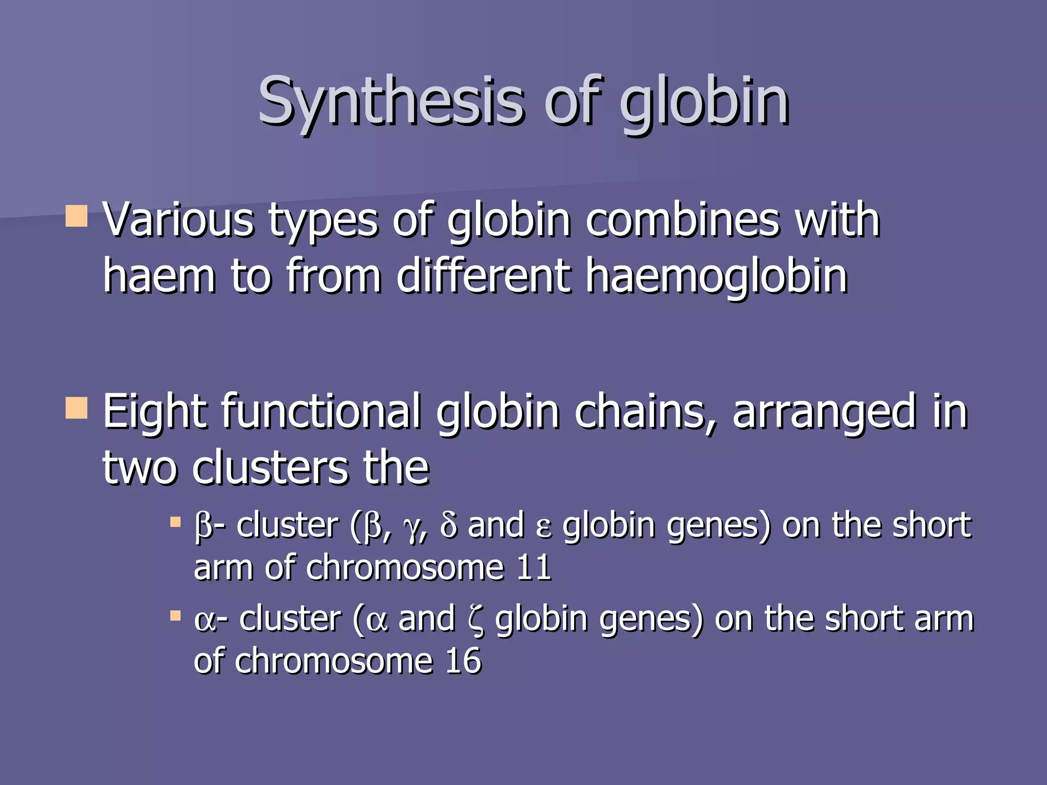 Synthesis of globin Various types of globin combines with haem to from different haemoglobin Eight functional globin chains, arranged in two clusters the   - cluster (  ,   ,    and    globin genes) on the short arm of chromosome 11   - cluster (   and    globin genes) on the short arm of chromosome 16 