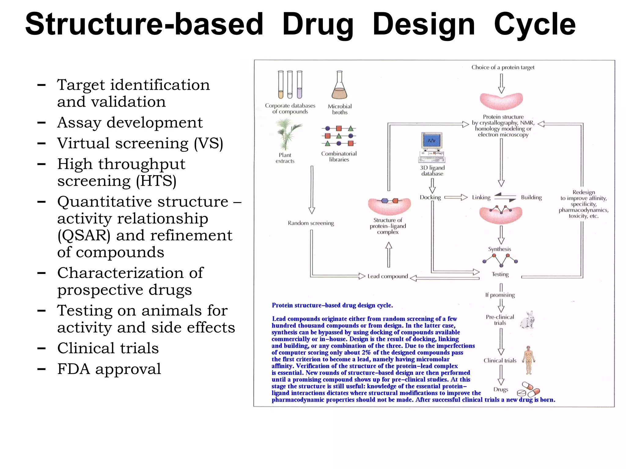 Structure based drug design | PPT