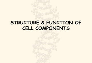 STRUCTURE & FUNCTION OF CELL COMPONENTS 
