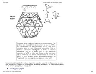 31/01/2020 STRUCTURE ET DEFINITION DES VIRUS
www.microbes-edu.org/etudiant/virus.html 6/11
Les protéines de capside forment des oligomères appelées capsomères, disposés sur les faces
et le sommet du l'icosaèdre. Il en résulte que la capside, résistante, a un rôle protecteur vis-à-
vis du génome qui s'y trouve empaqueté.
1-3. L'enveloppe ou péplos
 