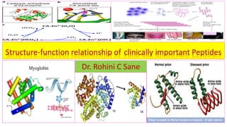 Structure-function relationship of clinically important Peptides
Dr. Rohini C Sane
 