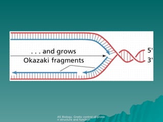 DNA Structure and Function: The Double Helix Model and Its Role in ...
