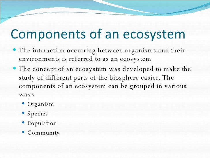 Structure Of An Ecosystem