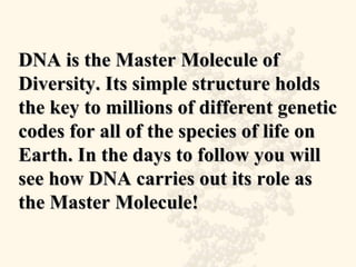 DNA is the Master Molecule of Diversity. Its simple structure holds the key to millions of different genetic codes for all of the species of life on Earth. In the days to follow you will see how DNA carries out its role as the Master Molecule! 