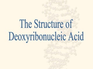 The Structure of Deoxyribonucleic Acid 
