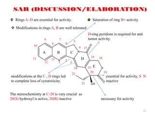 12
A B C
D
E
Rings A–D are essential for activity. Saturation of ring B< activity
necessary for activity
essential for activity, S N
inactive
D-ring pyridone is required for anti
tumor activity.
 Modifications in rings A, B are well tolerated
The stereochemistry at C-20 is very crucial as
20(S) hydroxyl is active, 20(R) inactive
modifications at the C , D rings led
to complete loss of cytotoxicity.
 