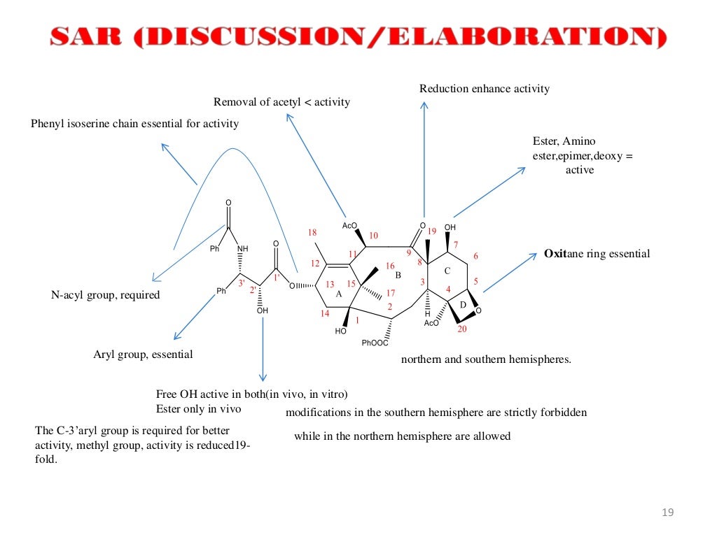 Structure activity relationship 6
