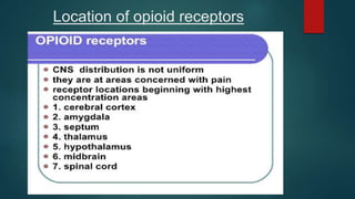 Location of opioid receptors
 