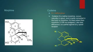Morphine Codeine
 R = methyl group
 Codeine It is methyl-morphine, occurs
naturally in opium, and is partly converted in
the body to morphine. It is less potent than
morphine (1/10th as analgesic), also less
efficacious; is a partial agonist at μ opioid
receptor
NMe
O
RO
HO
H
H
 