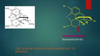 THE ALKENE GROUP IS NOT IMPORTANT TO
BINDING
NMe
O
HO
HO
H
H
Dihydromorphine
Increased activity
 
