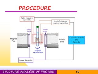 Pacific Networks Pacific NetworksSTUCTURE ANALYSIS OF PROTEIN 19
PROCEDURE
 