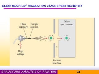 Pacific Networks Pacific NetworksSTRUCTURE ANALYSIS OF PROTEIN 24
ELECTROSPRAY IONIZATION MASS SPECTROMETRY
 