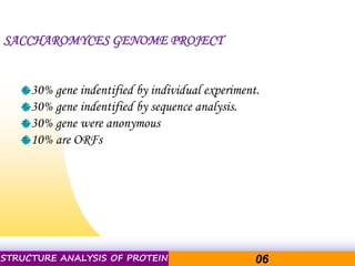 Pacific Networks Pacific NetworksSTRUCTURE ANALYSIS OF PROTEIN 06
SACCHAROMYCES GENOME PROJECT
30% gene indentified by individual experiment.
30% gene indentified by sequence analysis.
30% gene were anonymous
10% are ORFs
 
