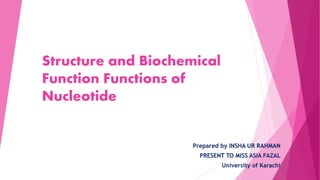 Structure and Biochemical
Function Functions of
Nucleotide
Prepared by INSHA UR RAHMAN
PRESENT TO MISS ASIA FAZAL
University of Karachi
 