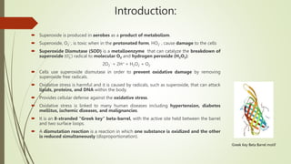 Structure and Catalytic Function of Superoxide Dismutase.pptx