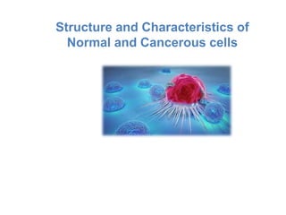 Structure and Characteristics of
Normal and Cancerous cells
 