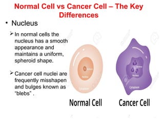 Normal Bleb Structure and Characteristics of Normal and Cancerous cells.pptx