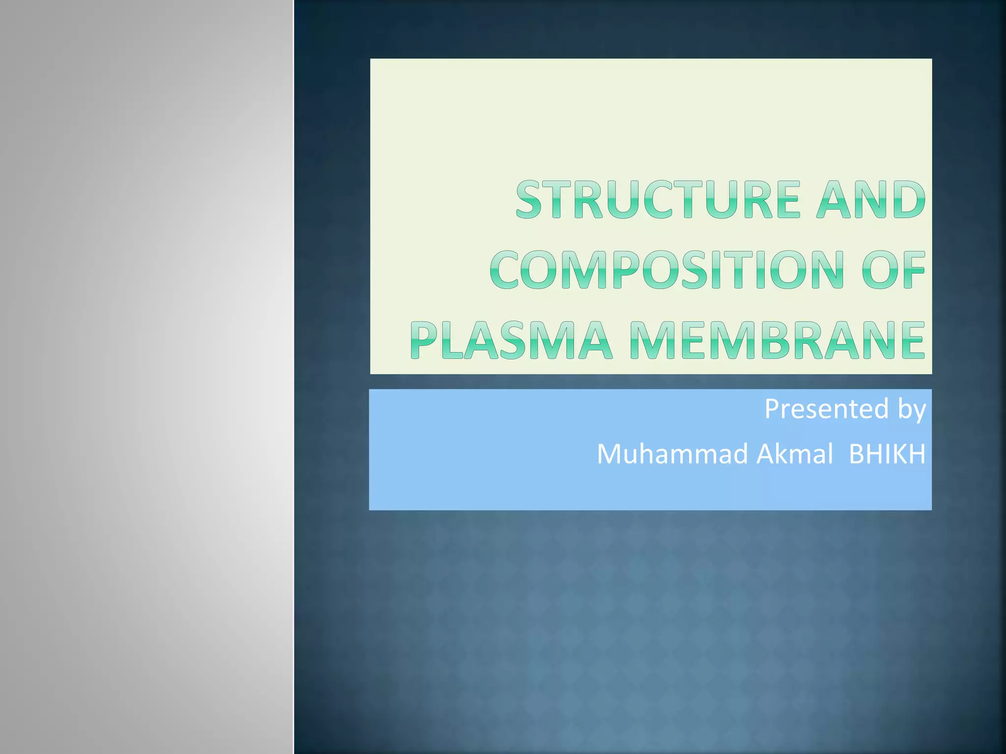 Presented by
Muhammad Akmal BHIKH
 