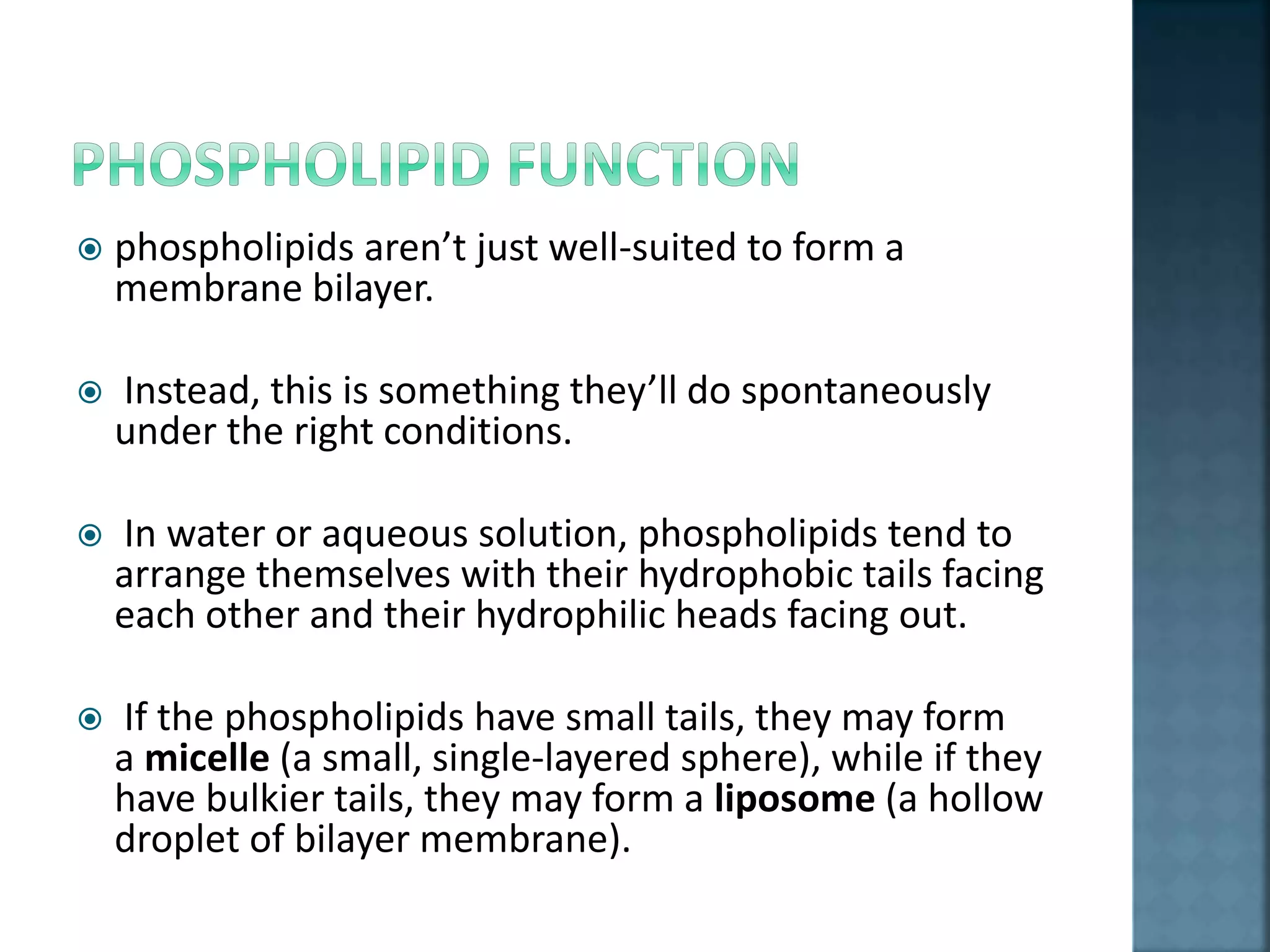  phospholipids aren’t just well-suited to form a
membrane bilayer.
 Instead, this is something they’ll do spontaneously
under the right conditions.
 In water or aqueous solution, phospholipids tend to
arrange themselves with their hydrophobic tails facing
each other and their hydrophilic heads facing out.
 If the phospholipids have small tails, they may form
a micelle (a small, single-layered sphere), while if they
have bulkier tails, they may form a liposome (a hollow
droplet of bilayer membrane).
 