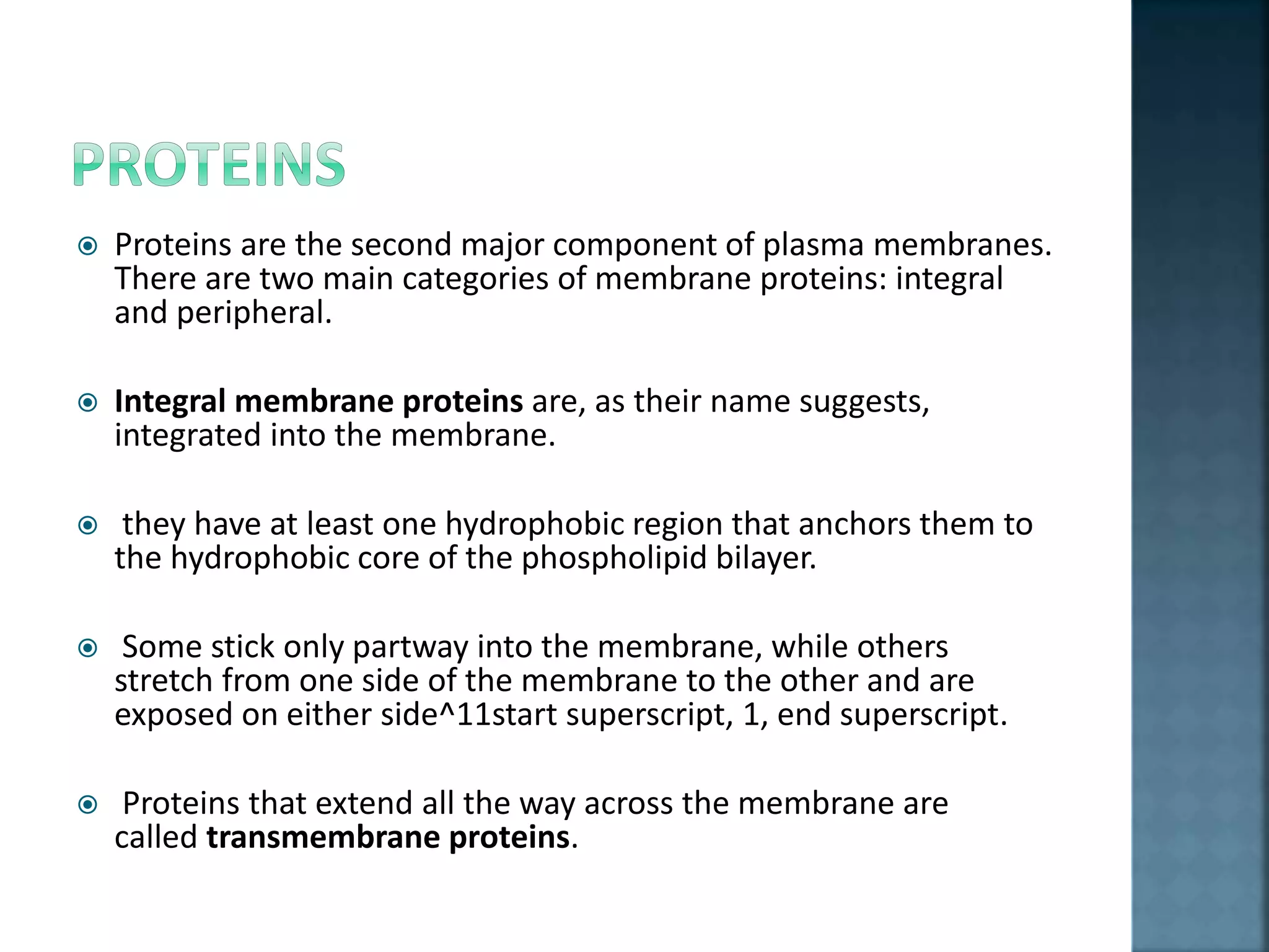  Proteins are the second major component of plasma membranes.
There are two main categories of membrane proteins: integral
and peripheral.
 Integral membrane proteins are, as their name suggests,
integrated into the membrane.
 they have at least one hydrophobic region that anchors them to
the hydrophobic core of the phospholipid bilayer.
 Some stick only partway into the membrane, while others
stretch from one side of the membrane to the other and are
exposed on either side^11start superscript, 1, end superscript.
 Proteins that extend all the way across the membrane are
called transmembrane proteins.
 