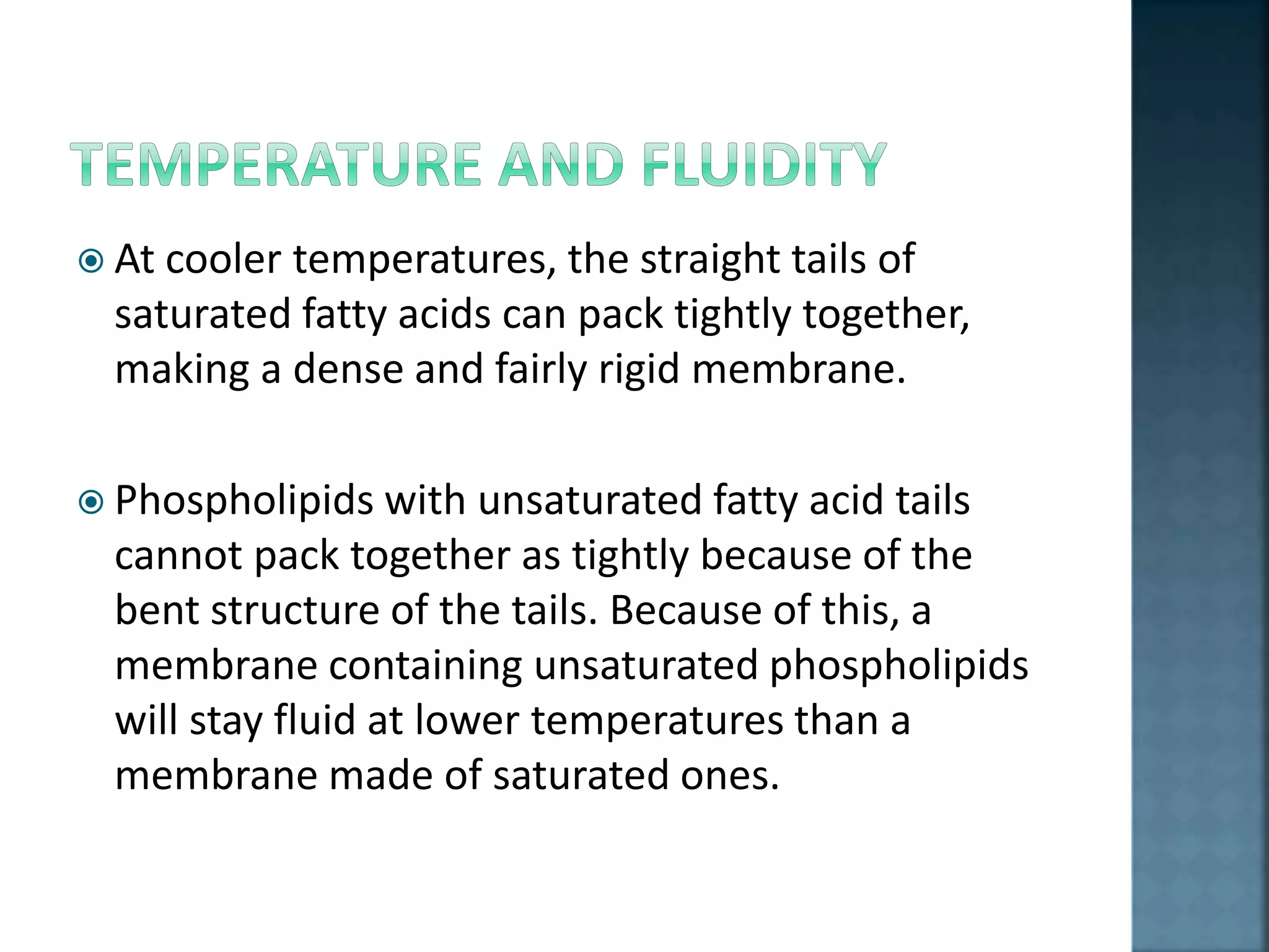  At cooler temperatures, the straight tails of
saturated fatty acids can pack tightly together,
making a dense and fairly rigid membrane.
 Phospholipids with unsaturated fatty acid tails
cannot pack together as tightly because of the
bent structure of the tails. Because of this, a
membrane containing unsaturated phospholipids
will stay fluid at lower temperatures than a
membrane made of saturated ones.
 