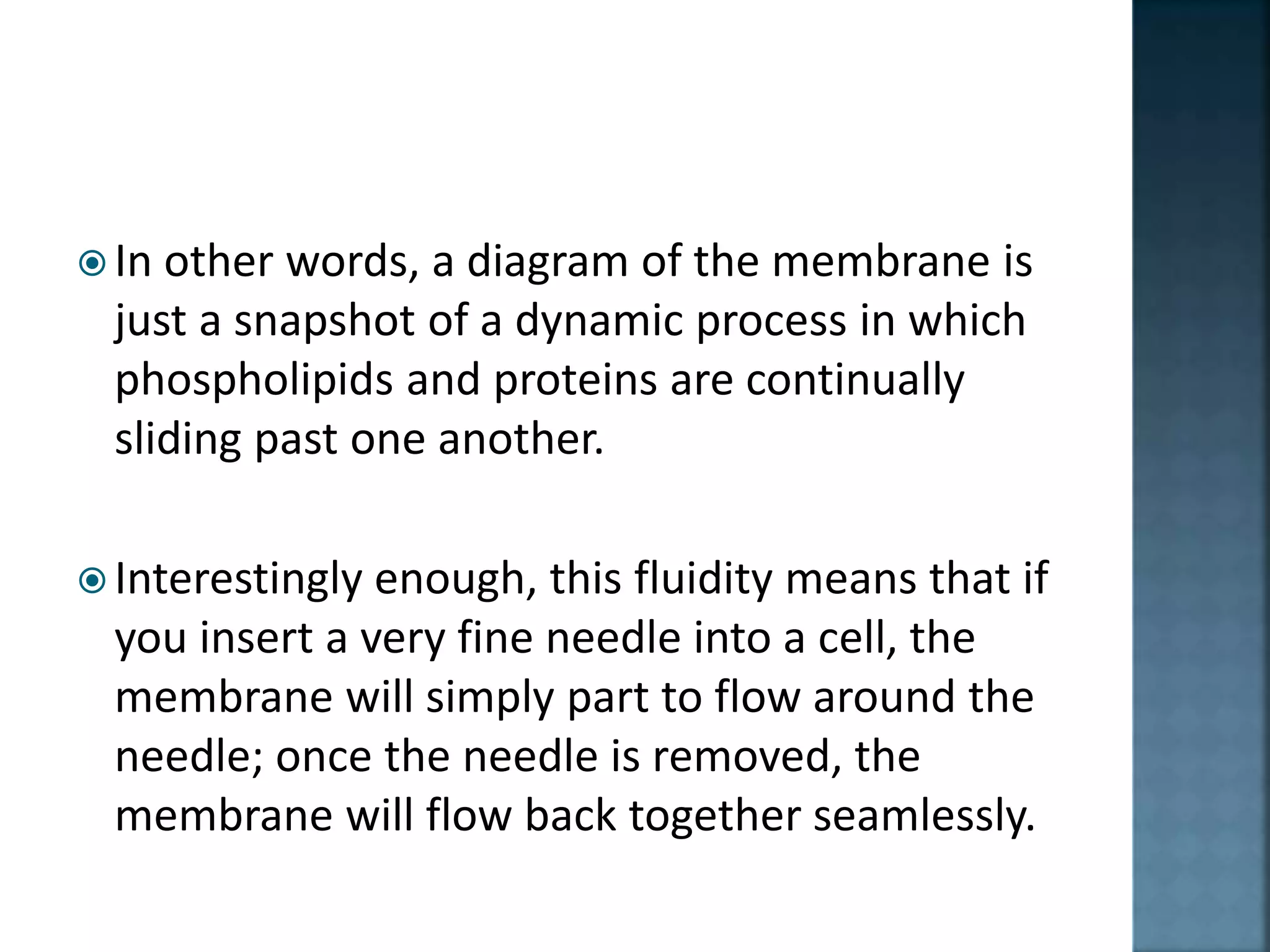  In other words, a diagram of the membrane is
just a snapshot of a dynamic process in which
phospholipids and proteins are continually
sliding past one another.
 Interestingly enough, this fluidity means that if
you insert a very fine needle into a cell, the
membrane will simply part to flow around the
needle; once the needle is removed, the
membrane will flow back together seamlessly.
 