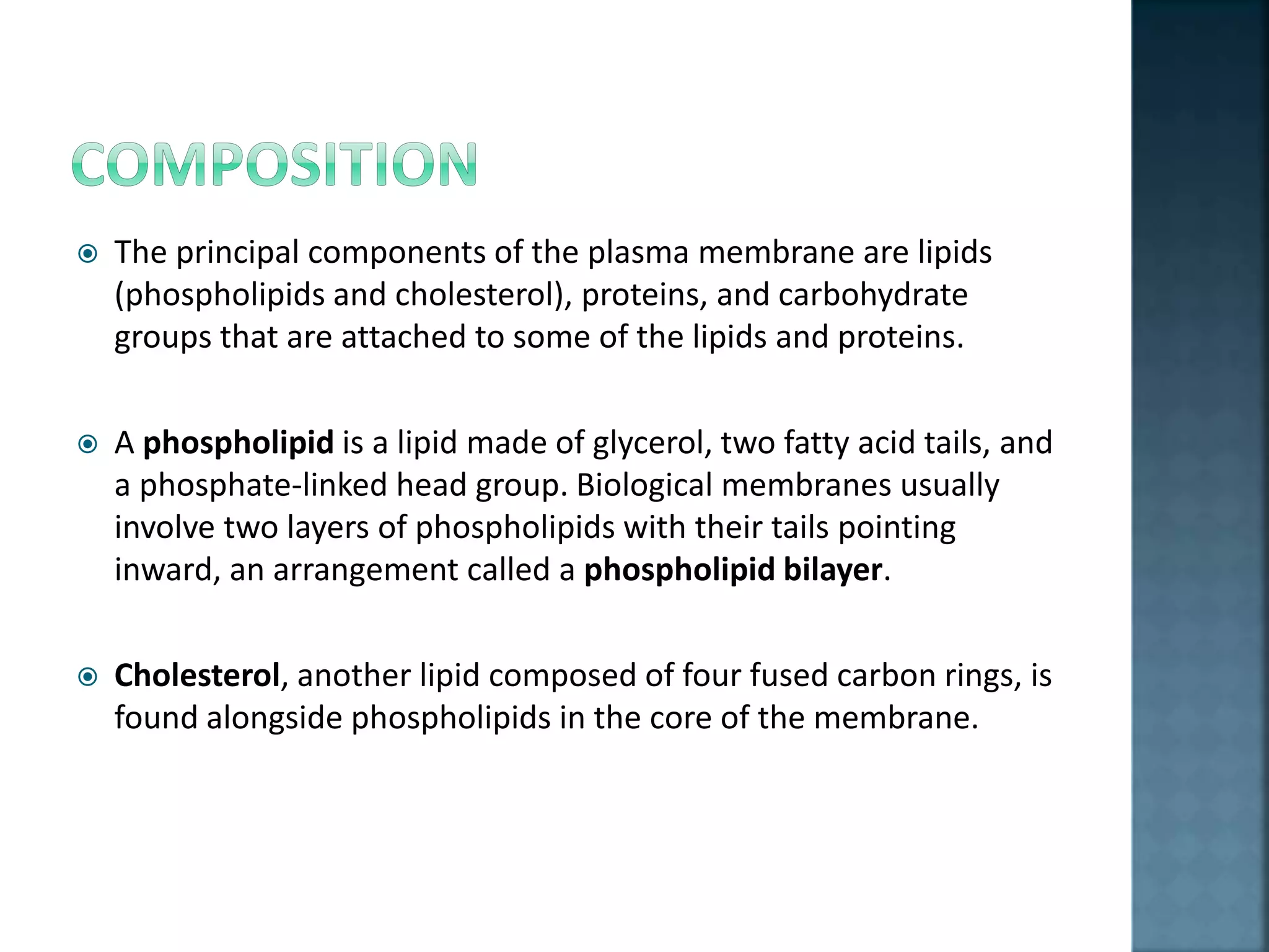  The principal components of the plasma membrane are lipids
(phospholipids and cholesterol), proteins, and carbohydrate
groups that are attached to some of the lipids and proteins.
 A phospholipid is a lipid made of glycerol, two fatty acid tails, and
a phosphate-linked head group. Biological membranes usually
involve two layers of phospholipids with their tails pointing
inward, an arrangement called a phospholipid bilayer.
 Cholesterol, another lipid composed of four fused carbon rings, is
found alongside phospholipids in the core of the membrane.
 
