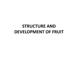 STRUCTURE AND
DEVELOPMENT OF FRUIT
 