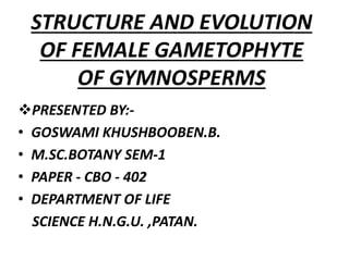 STRUCTURE AND EVOLUTION
OF FEMALE GAMETOPHYTE
OF GYMNOSPERMS
PRESENTED BY:-
• GOSWAMI KHUSHBOOBEN.B.
• M.SC.BOTANY SEM-1
• PAPER - CBO - 402
• DEPARTMENT OF LIFE
SCIENCE H.N.G.U. ,PATAN.
 