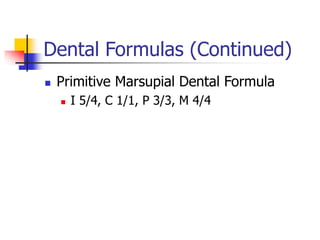Dental Formulas (Continued)
 Primitive Marsupial Dental Formula
 I 5/4, C 1/1, P 3/3, M 4/4
 