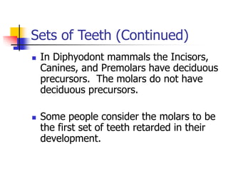 Sets of Teeth (Continued)
 In Diphyodont mammals the Incisors,
Canines, and Premolars have deciduous
precursors. The molars do not have
deciduous precursors.
 Some people consider the molars to be
the first set of teeth retarded in their
development.
 