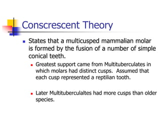 Conscrescent Theory
 States that a multicusped mammalian molar
is formed by the fusion of a number of simple
conical teeth.
 Greatest support came from Multituberculates in
which molars had distinct cusps. Assumed that
each cusp represented a reptilian tooth.
 Later Multituberculaltes had more cusps than older
species.
 