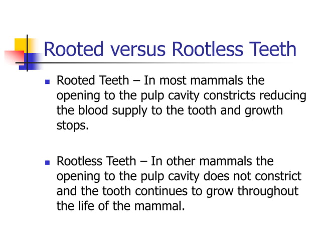 Structure and Evolution of Teeth.ppt