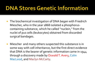    The biochemical investigation of DNA began with Friedrich
    Miescher, who in the year 1868 isolated a phosphorus-
    containing substance, which he called “nuclein,” from the
    nuclei of pus cells (leukocytes) obtained from discarded
    surgical bandages.

   Miescher and many others suspected this substance is in
    some way with cell inheritance, but the first direct evidence
    that DNA is the bearer of genetic information came in 1944
    through a discovery made by Oswald T. Avery, Colin
    MacLeod, and Maclyn McCarty.
 