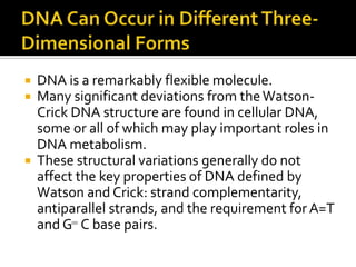    DNA is a remarkably flexible molecule.
   Many significant deviations from the Watson-
    Crick DNA structure are found in cellular DNA,
    some or all of which may play important roles in
    DNA metabolism.
   These structural variations generally do not
    affect the key properties of DNA defined by
    Watson and Crick: strand complementarity,
    antiparallel strands, and the requirement for A=T
    and G C base pairs.
 
