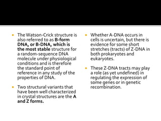    The Watson-Crick structure is        Whether A-DNA occurs in
    also referred to as B-form            cells is uncertain, but there is
    DNA, or B-DNA, which is               evidence for some short
    the most stable structure for         stretches (tracts) of Z-DNA in
    a random-sequence DNA                 both prokaryotes and
    molecule under physiological          eukaryotes.
    conditions and is therefore
    the standard point of                These Z-DNA tracts may play
    reference in any study of the         a role (as yet undefined) in
    properties of DNA.                    regulating the expression of
                                          some genes or in genetic
   Two structural variants that          recombination.
    have been well characterized
    in crystal structures are the A
    and Z forms.
 