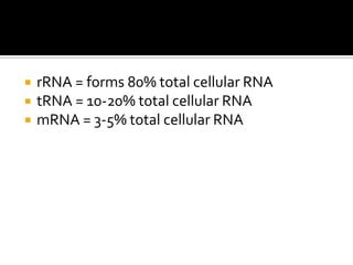    rRNA = forms 80% total cellular RNA
   tRNA = 10-20% total cellular RNA
   mRNA = 3-5% total cellular RNA
 
