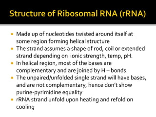    Made up of nucleotides twisted around itself at
    some region forming helical structure
   The strand assumes a shape of rod, coil or extended
    strand depending on ionic strength, temp, pH.
   In helical region, most of the bases are
    complementary and are joined by H – bonds
   The unpaired/unfolded single strand will have bases,
    and are not complementary, hence don’t show
    purine-pyrimidine equality
   rRNA strand unfold upon heating and refold on
    cooling
 