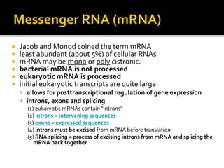    Jacob and Monod coined the term mRNA
   least abundant (about 5%) of cellular RNAs
   mRNA may be mono or poly cistronic.
   bacterial mRNA is not processed
   eukaryotic mRNA is processed
   initial eukaryotic transcripts are quite large
     allows for posttranscriptional regulation of gene expression
     introns, exons and splicing
       (1) eukaryotic mRNAs contain "introns“
       (2) introns = intervening sequences
       (3) exons = expressed sequences
       (4) introns must be excised from mRNA before translation
       (5) RNA splicing = process of excising introns from mRNA and splicing the
          mRNA back together
 