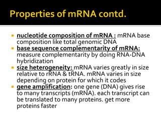    nucleotide composition of mRNA : mRNA base
    composition like total genomic DNA
   base sequence complementarity of mRNA:
    measure complementarity by doing RNA-DNA
    hybridization
   size heterogeneity: mRNA varies greatly in size
    relative to rRNA & tRNA. mRNA varies in size
    depending on protein for which it codes
   gene amplification: one gene (DNA) gives rise
    to many transcripts (mRNA). each transcript can
    be translated to many proteins. get more
    proteins faster
 