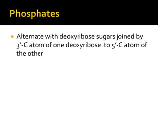    Alternate with deoxyribose sugars joined by
    3’-C atom of one deoxyribose to 5’-C atom of
    the other
 