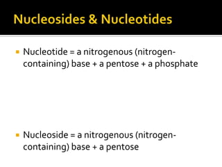    Nucleotide = a nitrogenous (nitrogen-
    containing) base + a pentose + a phosphate




   Nucleoside = a nitrogenous (nitrogen-
    containing) base + a pentose
 