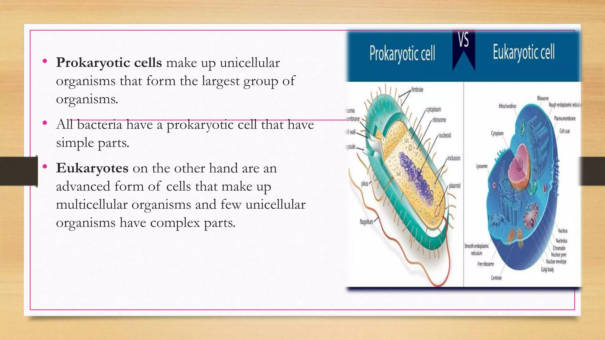 • Prokaryotic cells make up unicellular
organisms that form the largest group of
organisms.
• All bacteria have a prokaryotic cell that have
simple parts.
• Eukaryotes on the other hand are an
advanced form of cells that make up
multicellular organisms and few unicellular
organisms have complex parts.
 