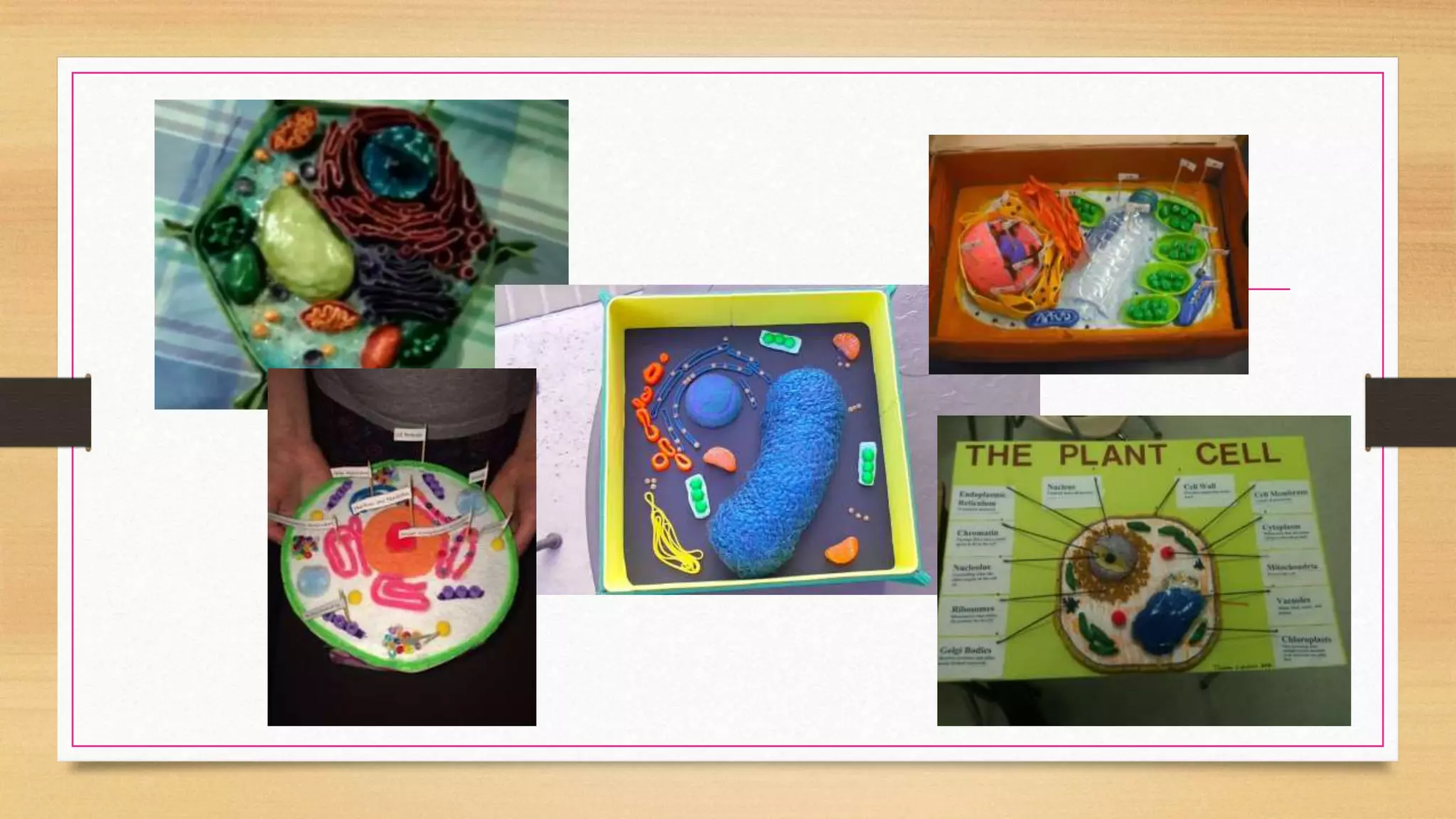 STRUCTURE AND FUNC.pptx